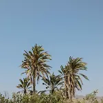 Vaya Villa Agia Anna (Naxos)