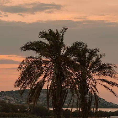 Vaya ヴィラ Agia Anna (Naxos)