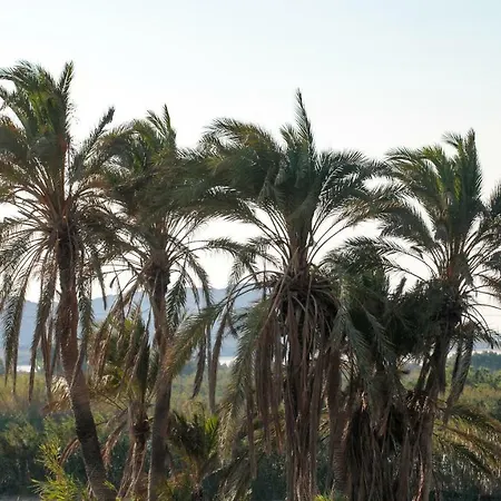 Vaya * Agia Anna (Naxos)
