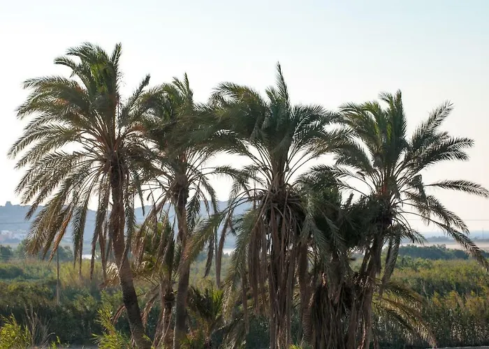 Vaya * Айя-Анна